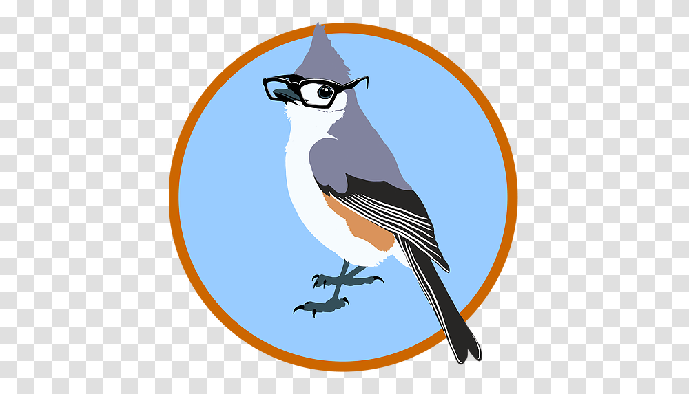 Jay Clipart Birdy, Animal, Blue Jay, Sunglasses, Accessories Transparent Png
