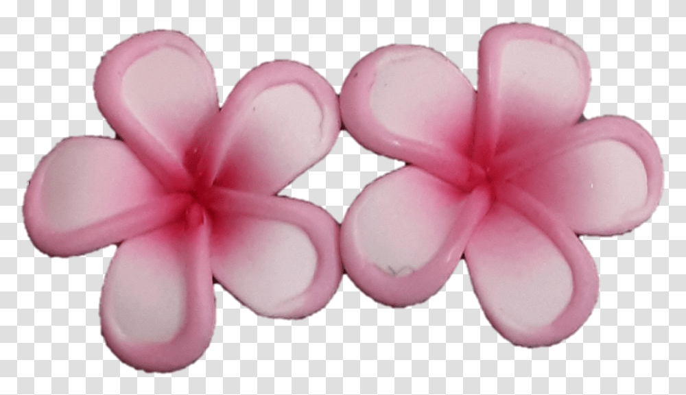 Jb Mini Pink Rimmed Plumeria Earrings Girly, Petal, Flower, Plant, Blossom Transparent Png