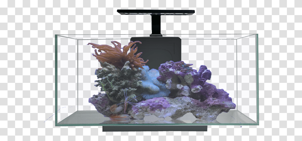 Jbj 10g Desktop Flat Panel Jbj Rimless, Sea, Outdoors, Water, Nature Transparent Png