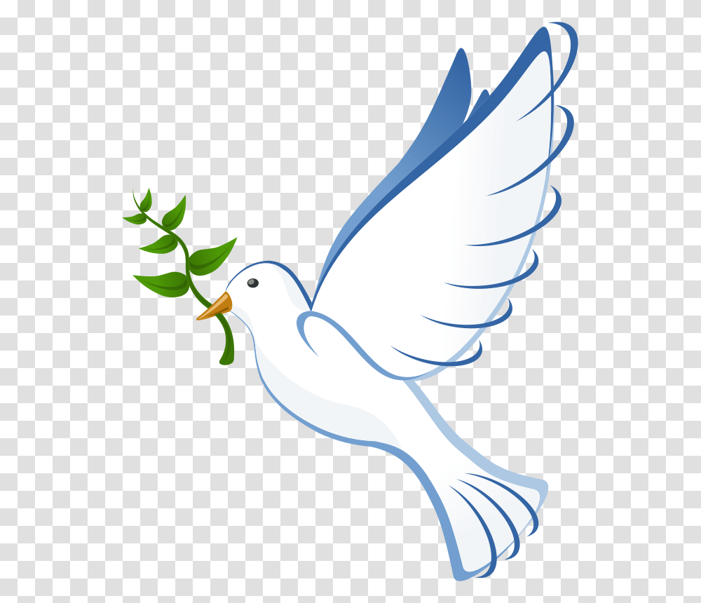 Jean Victor Balin Dove, Religion, Bird, Animal, Pigeon Transparent Png