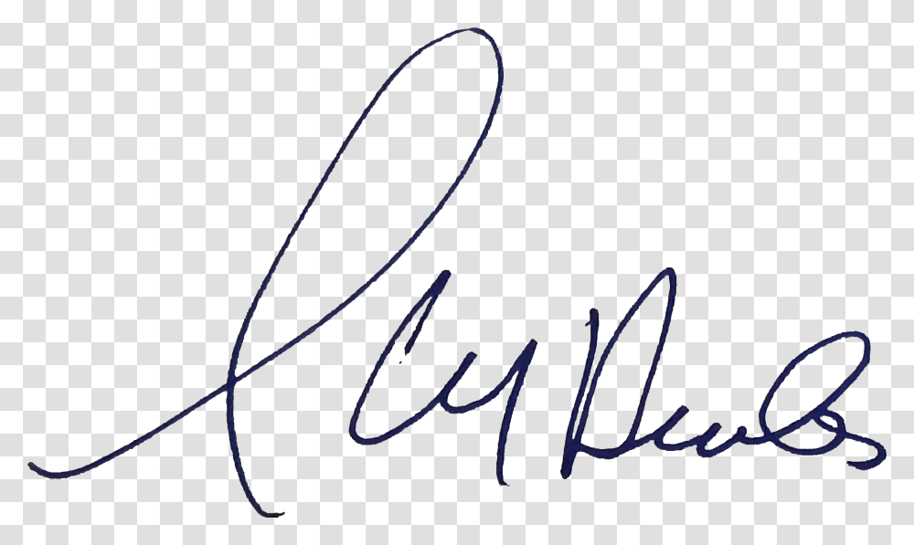 Jean Yves Duclos Signature Calligraphy, Bow, Handwriting, Autograph Transparent Png