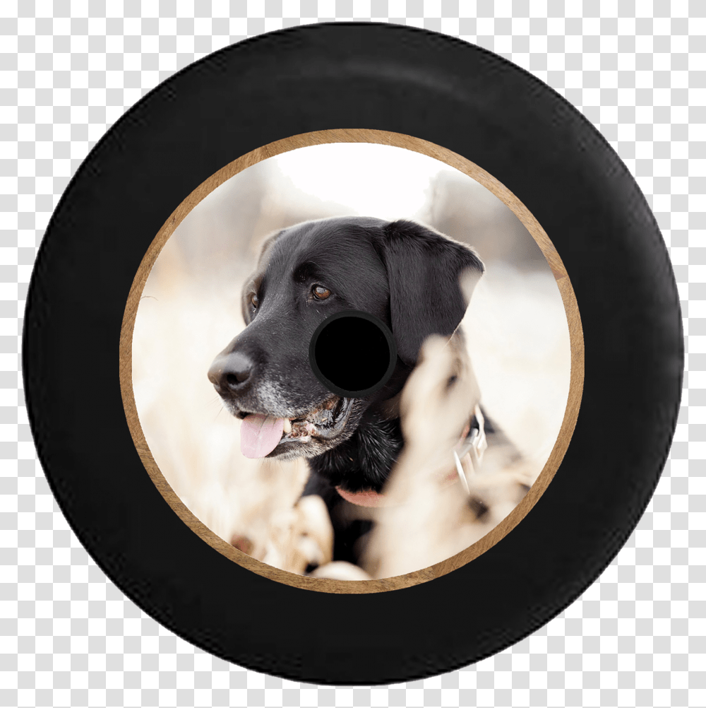 Jeep Wrangler Jl Backup Camera Black Lab Retriever Hd Black Lab, Dog, Pet, Canine, Animal Transparent Png