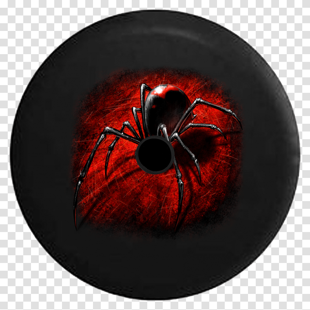 Jeep Wrangler Jl Backup Camera Day Black Widow Spider Black Widow Spider Stickers And Decals, Sphere, Apparel, Light Transparent Png