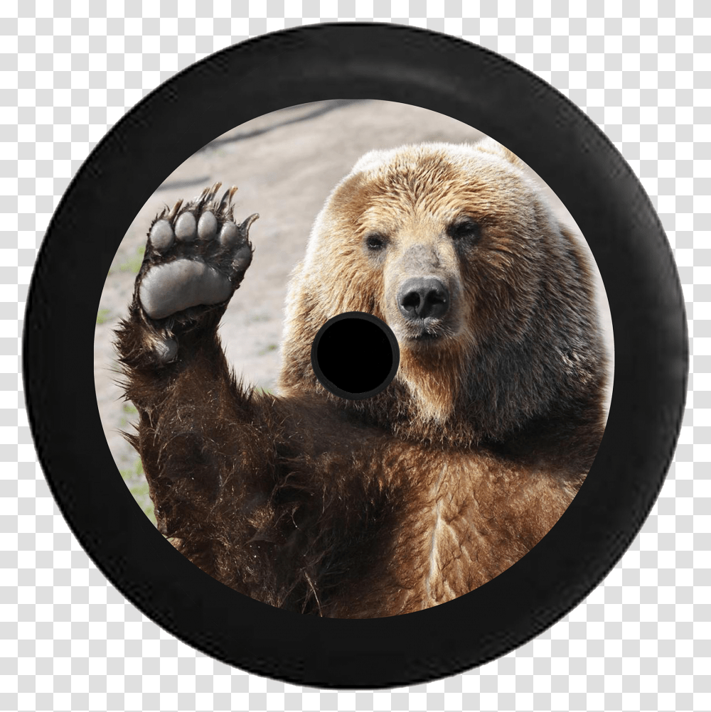 Jeep Wrangler Jl Backup Camera Waving Brown Grizzly Waving Bear, Brown Bear, Wildlife, Mammal, Animal Transparent Png