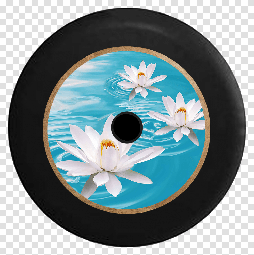 Jeep Wrangler Jl Backup Camera White Lotus Blossom White Lotus Flower, Disk, Pottery, Plant, Bowl Transparent Png
