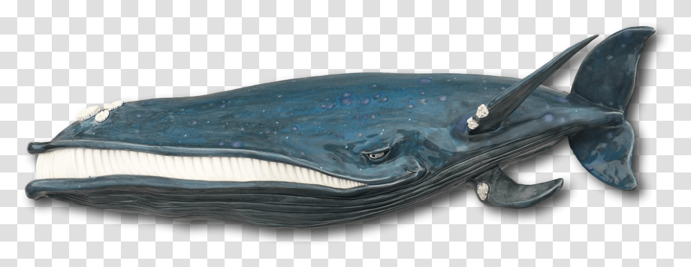 Jeezy Coin Purse, Sea Life, Animal, Whale, Mammal Transparent Png