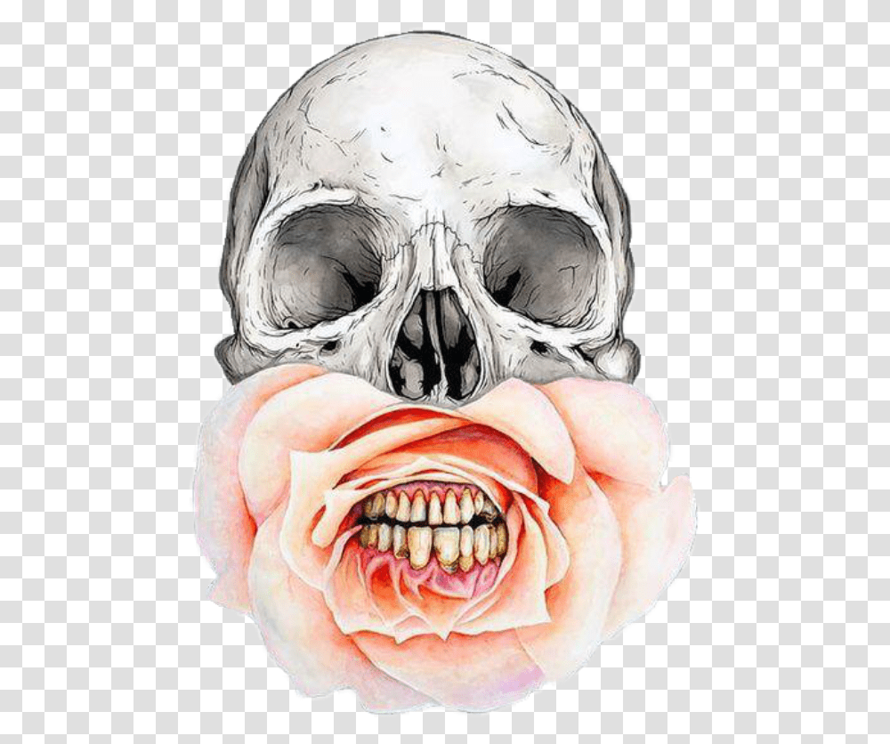 Jeff Proctor Artist, Jaw, Teeth, Mouth, Lip Transparent Png