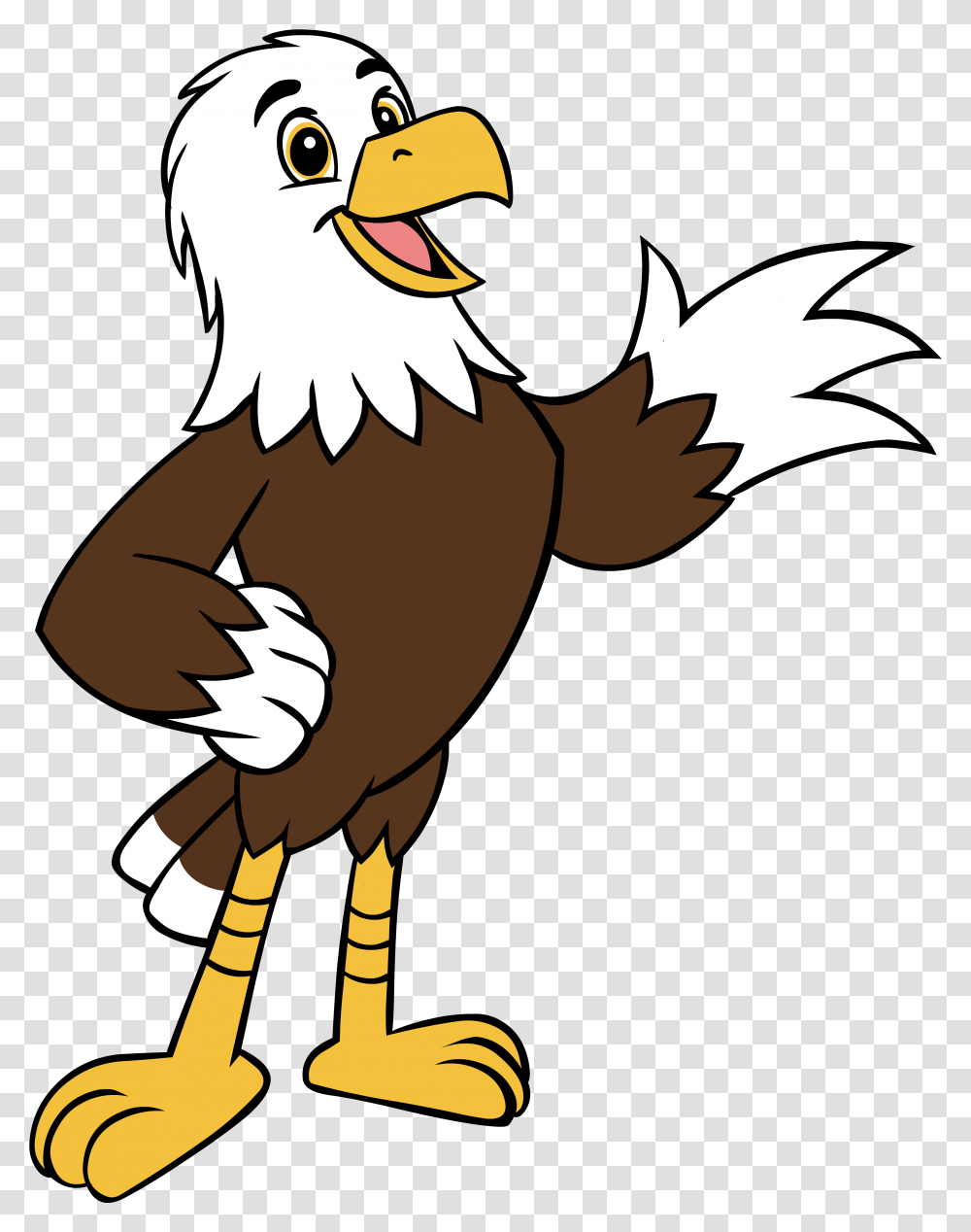 Jefferson Covid 19 Update, Eagle, Bird, Animal, Person Transparent Png