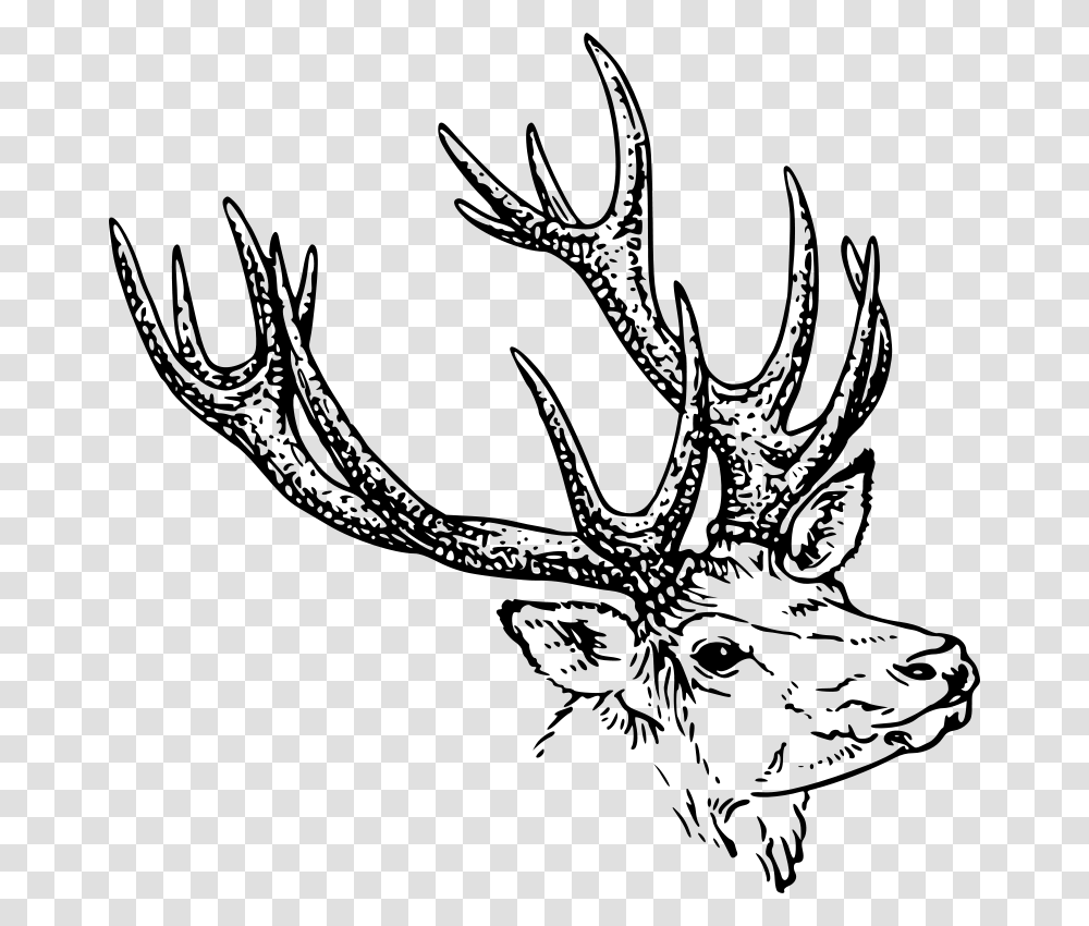 Jelen Kova Glava Openclipart Stag Head Drawing, Gray, World Of Warcraft Transparent Png