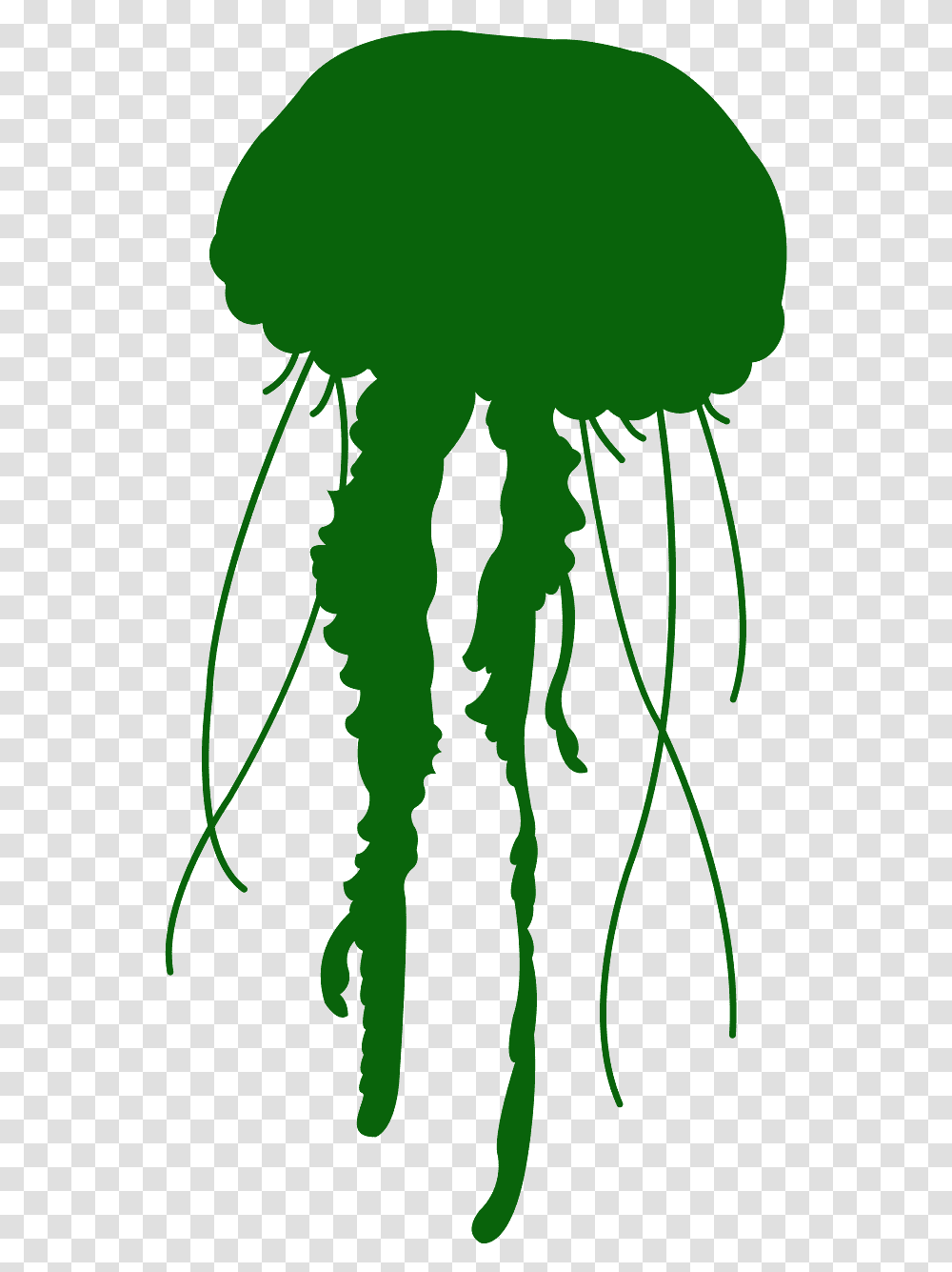 Jelly Fish, Green, Plant, Leaf Transparent Png