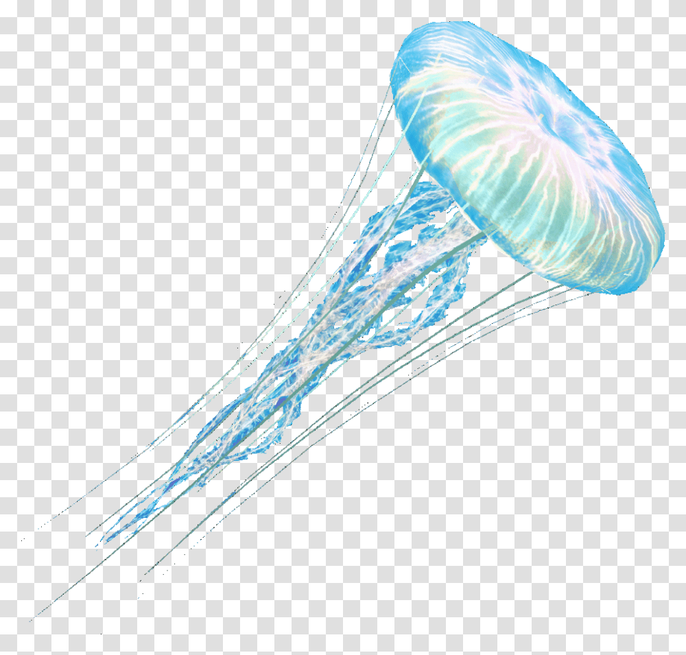 Jelly Fish Jellyfish Background, Invertebrate, Sea Life, Animal, Bow Transparent Png