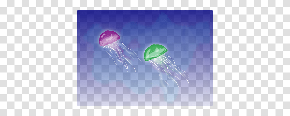 Jellyfish Nature, Invertebrate, Sea Life, Animal Transparent Png