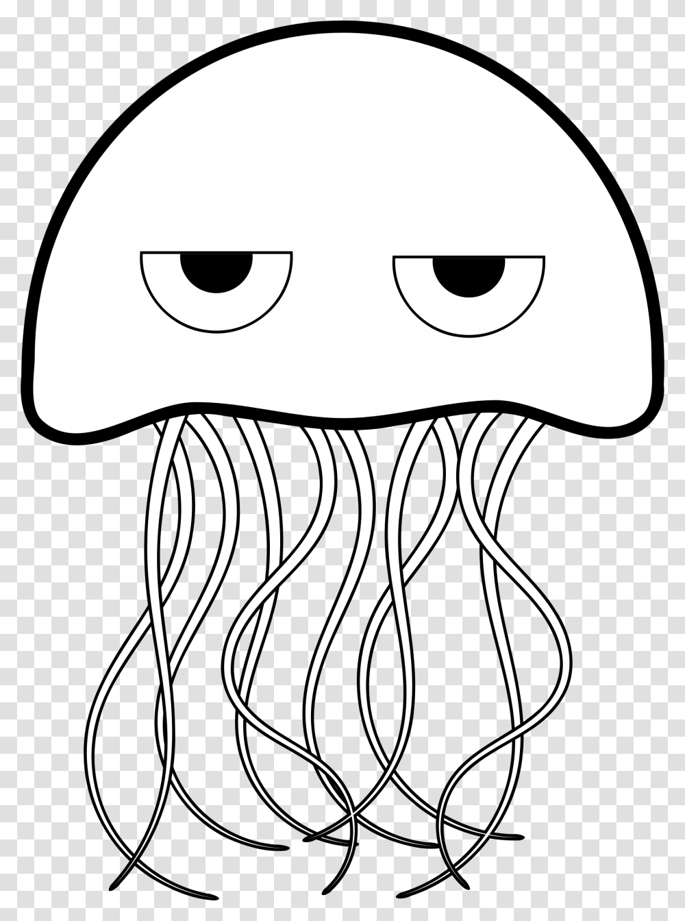 Jellyfish, Animal, Sea Life, Invertebrate Transparent Png