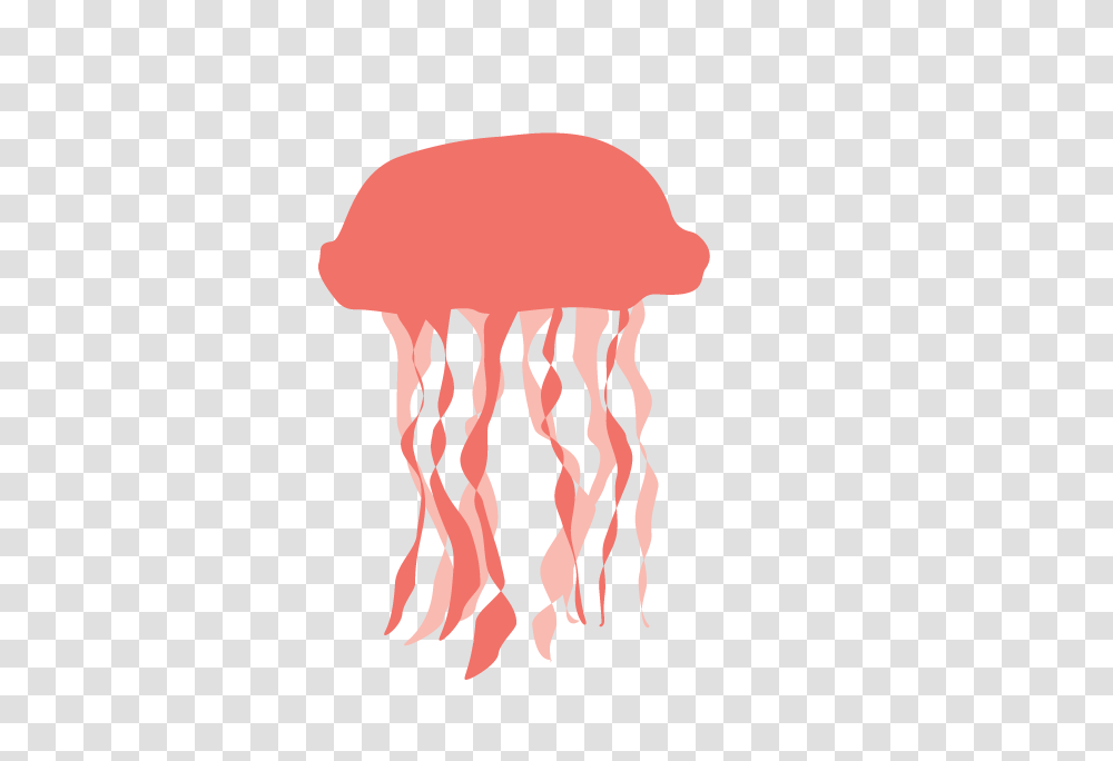 Jellyfish, Animals, Invertebrate, Sea Life, Fungus Transparent Png