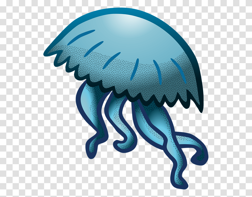 Jellyfish, Animals, Invertebrate, Sea Life Transparent Png