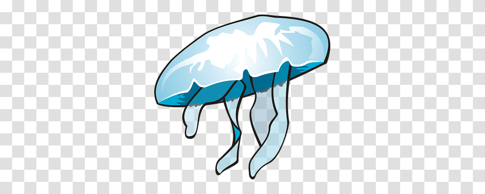 Jellyfish, Animals, Invertebrate, Sea Life Transparent Png