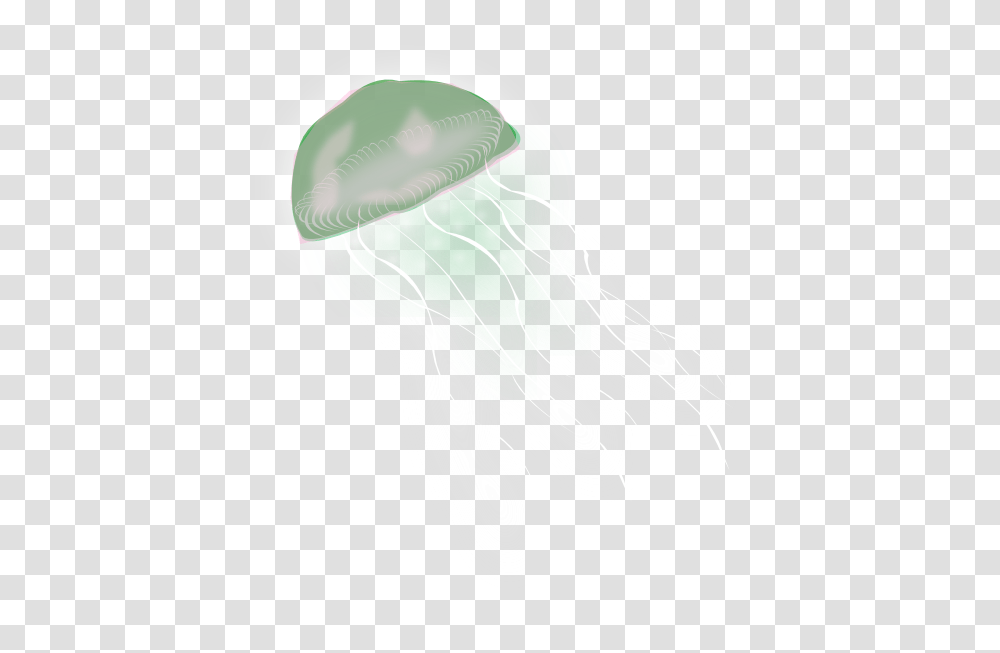 Jellyfish, Animals, Invertebrate, Sea Life Transparent Png