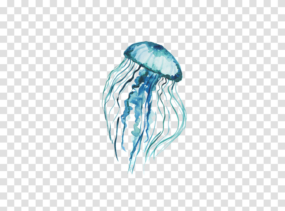 Jellyfish, Animals, Invertebrate, Sea Life Transparent Png