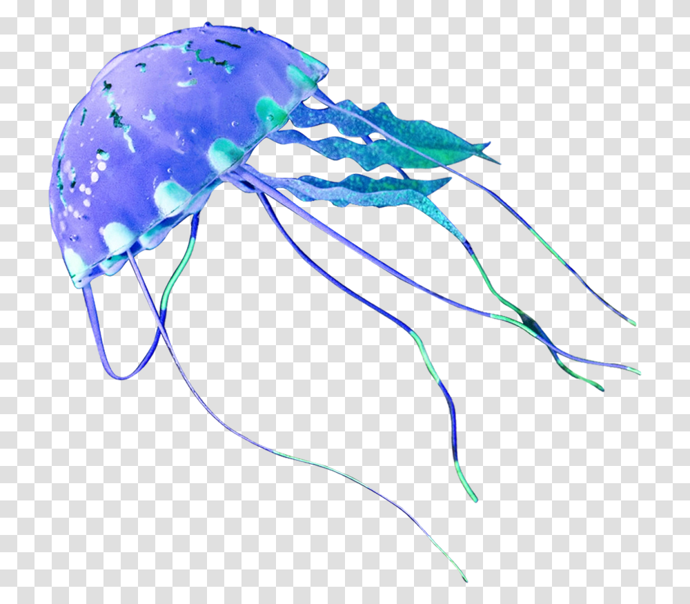 Jellyfish, Animals, Invertebrate, Sea Life Transparent Png