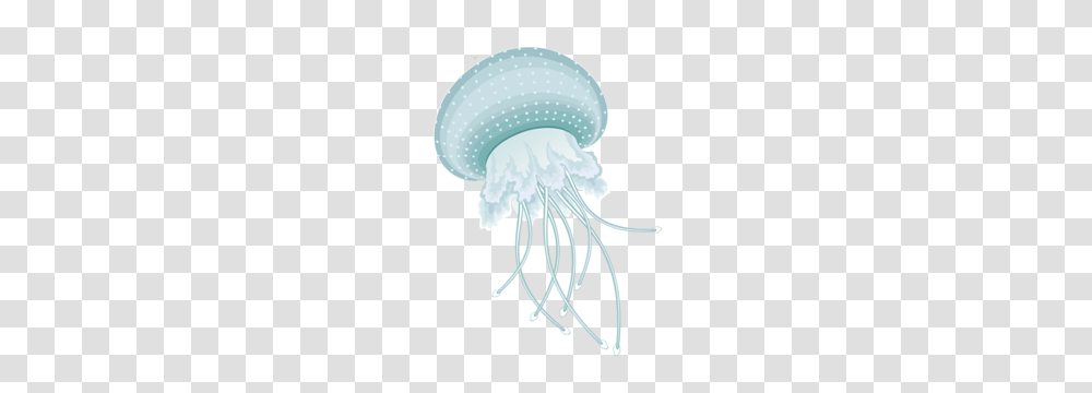 Jellyfish, Animals, Sea Life, Invertebrate, Chandelier Transparent Png