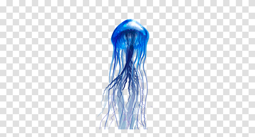 Jellyfish, Animals, Sea Life, Invertebrate Transparent Png