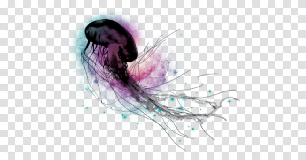 Jellyfish, Animals, Sea Life, Invertebrate Transparent Png