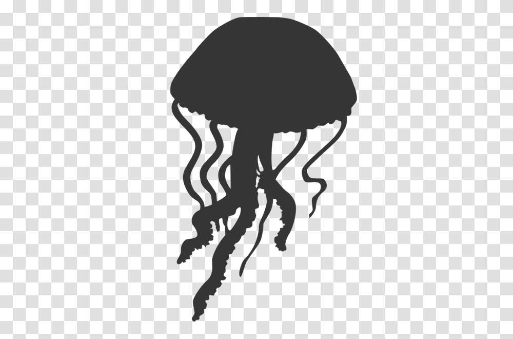 Jellyfish, Animals, Rug, White Transparent Png