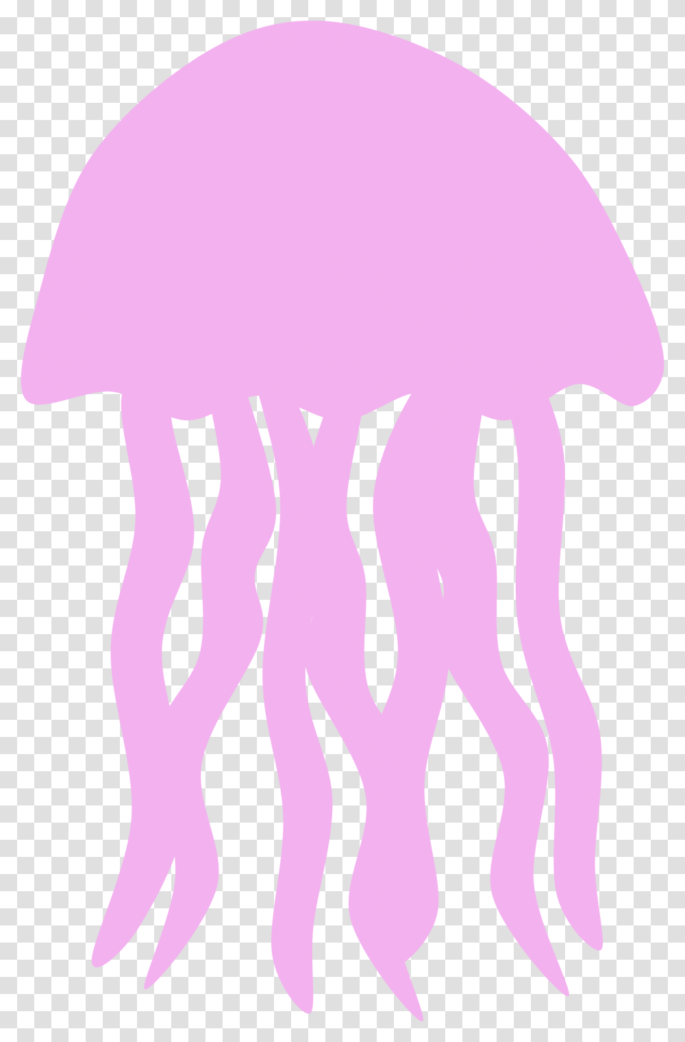 Jellyfish By Scout A Jelly Fish Clipart, Invertebrate, Sea Life, Animal Transparent Png
