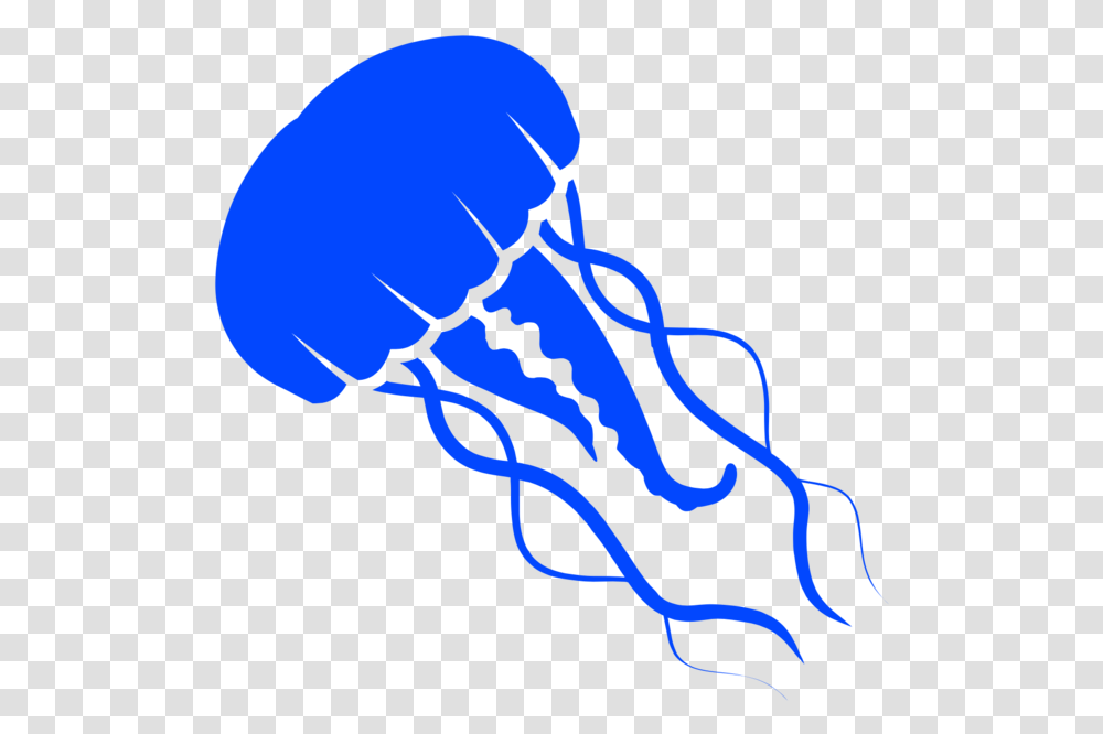 Jellyfish Clipart Download, Sea Life, Animal, Invertebrate, Hand Transparent Png