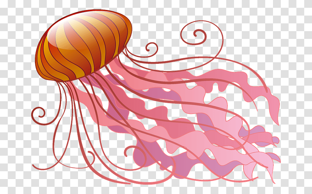 Jellyfish Clipart, Invertebrate, Animal, Sea Life Transparent Png