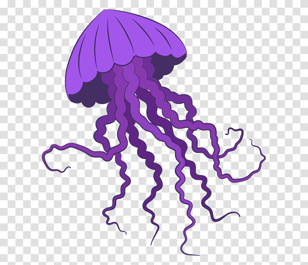 Jellyfish Clipart, Invertebrate, Sea Life, Animal, Painting Transparent Png