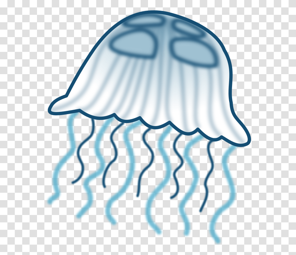 Jellyfish Clipart, Invertebrate, Sea Life, Animal Transparent Png