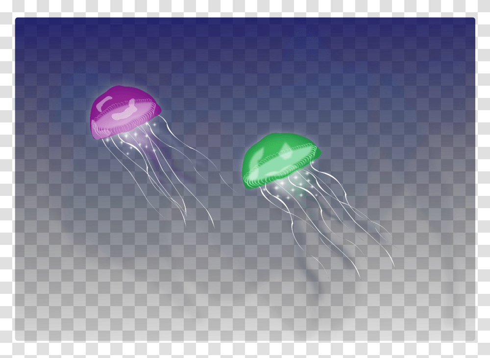 Jellyfish Download, Invertebrate, Sea Life, Animal Transparent Png