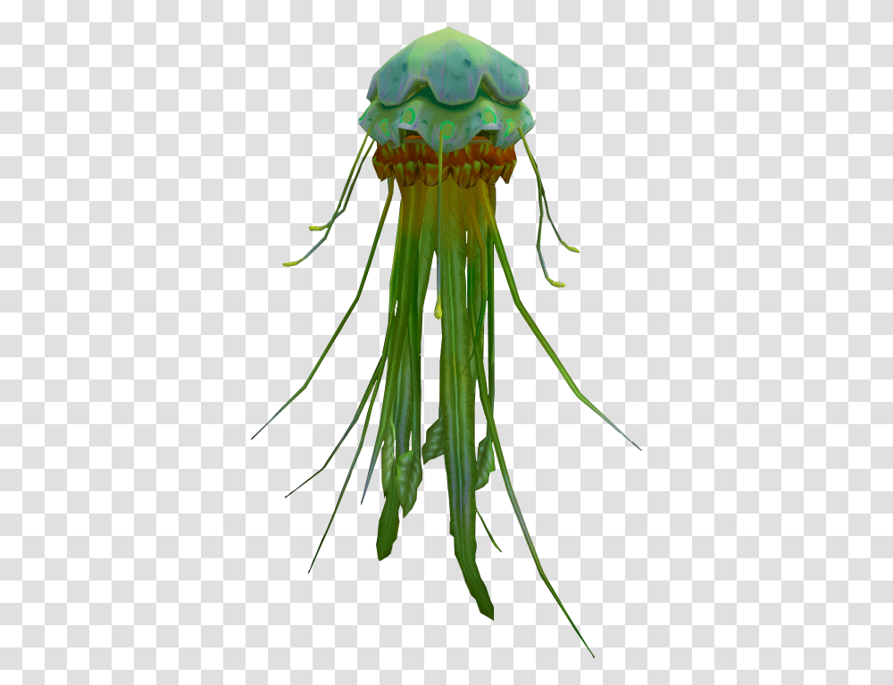 Jellyfish Green Jellyfish, Invertebrate, Sea Life, Animal, Pattern Transparent Png