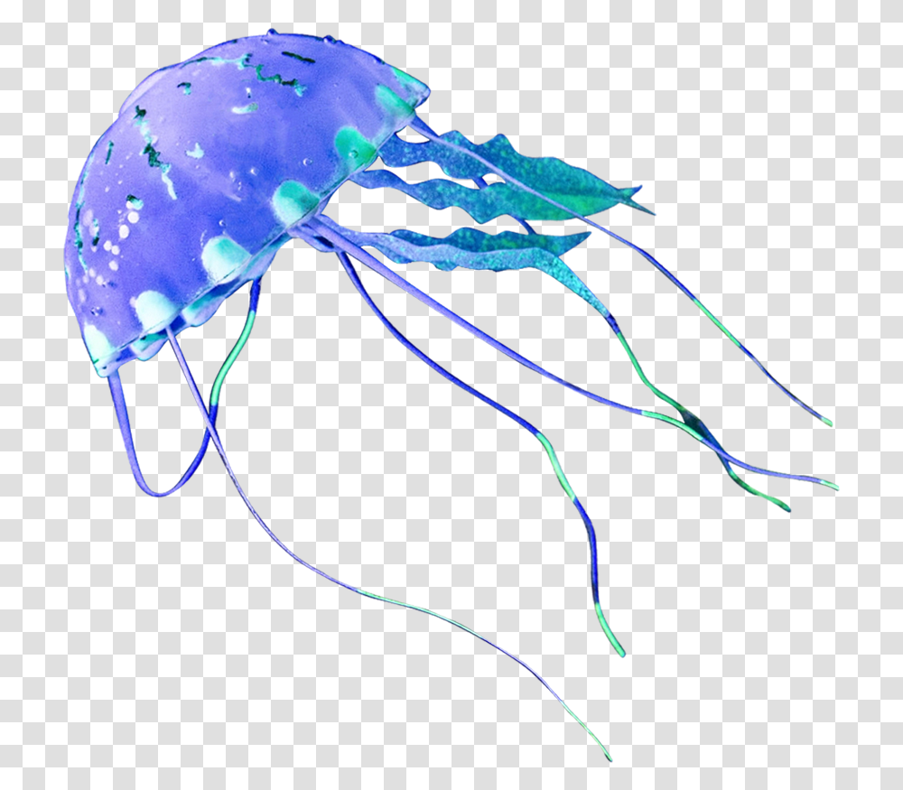 Jellyfish Illustration, Invertebrate, Sea Life, Animal Transparent Png