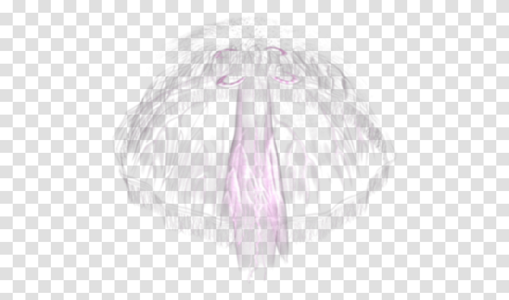 Jellyfish, Invertebrate, Sea Life, Animal, Fungus Transparent Png