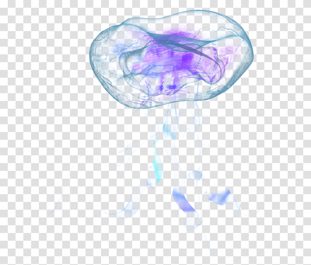 Jellyfish, Invertebrate, Sea Life, Animal, Lamp Transparent Png