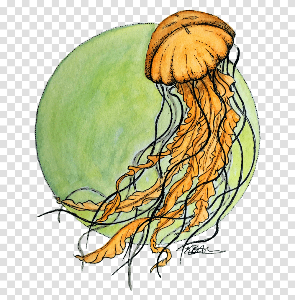 Jellyfish, Invertebrate, Sea Life, Animal, Painting Transparent Png