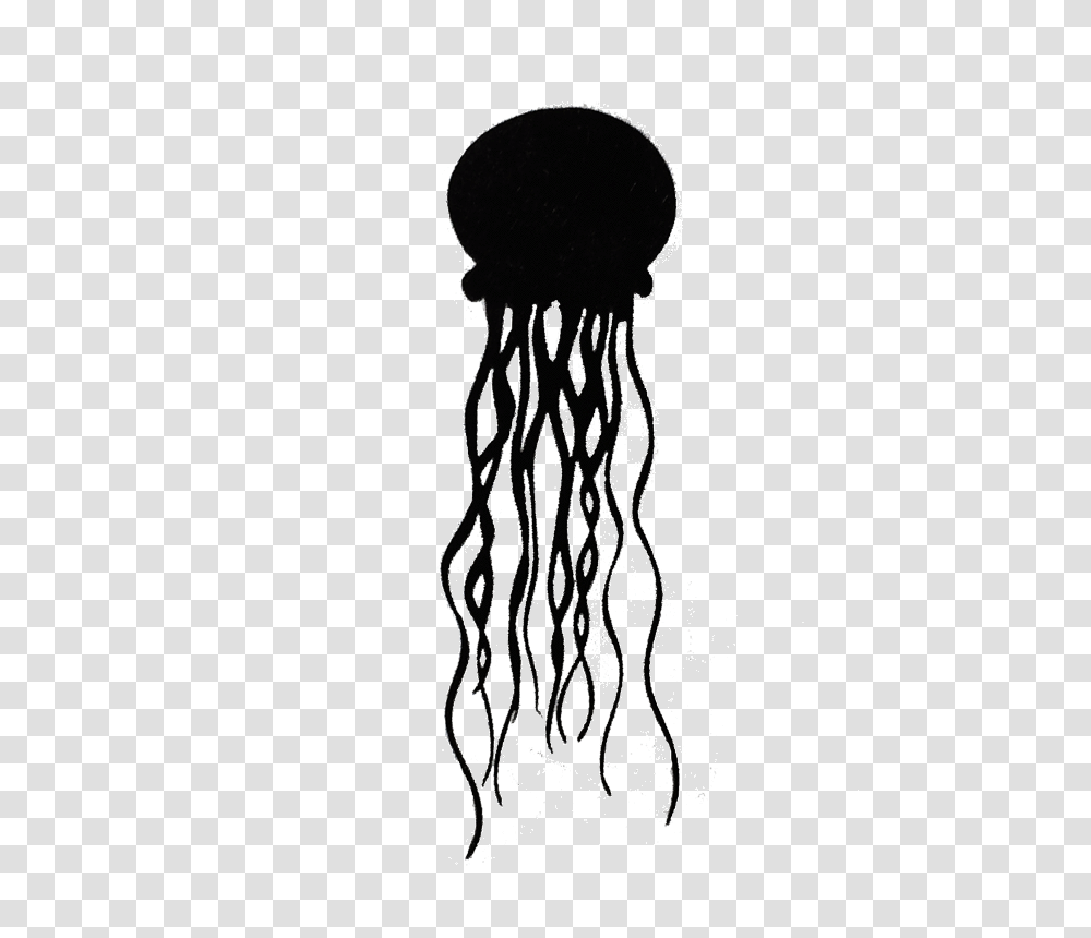 Jellyfish, Invertebrate, Sea Life, Animal Transparent Png