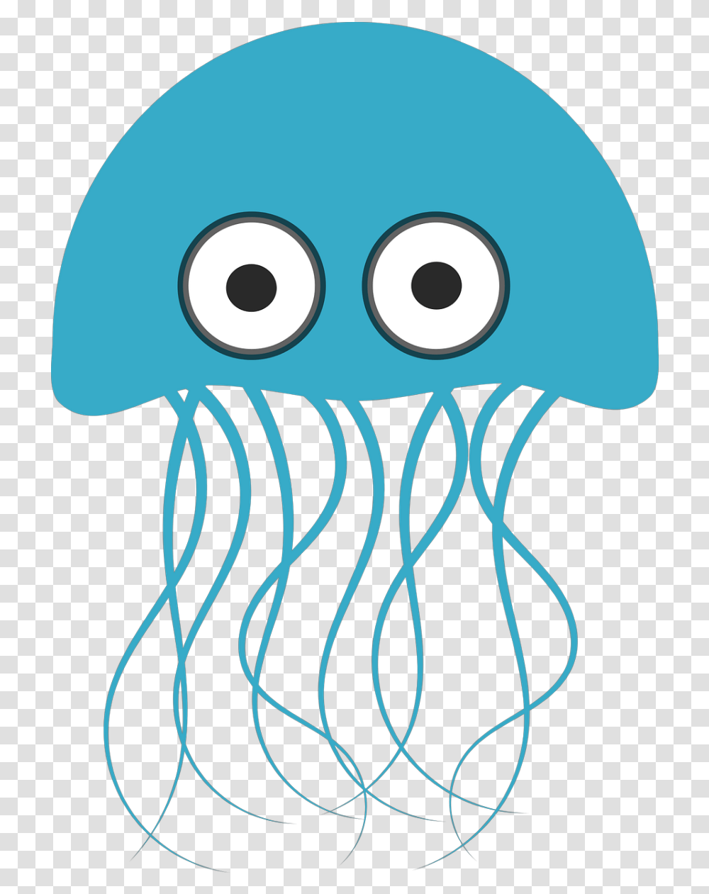 Jellyfish, Invertebrate, Sea Life, Animal Transparent Png