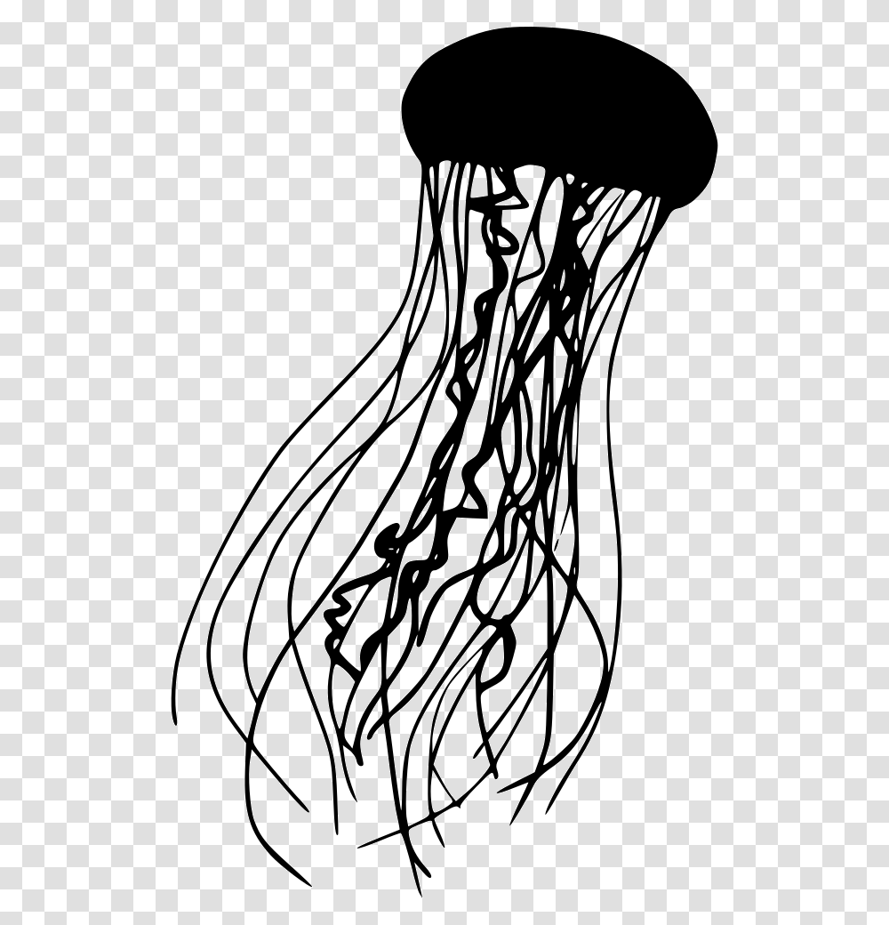 Jellyfish Jellyfish Icon, Root, Plant, Drawing Transparent Png