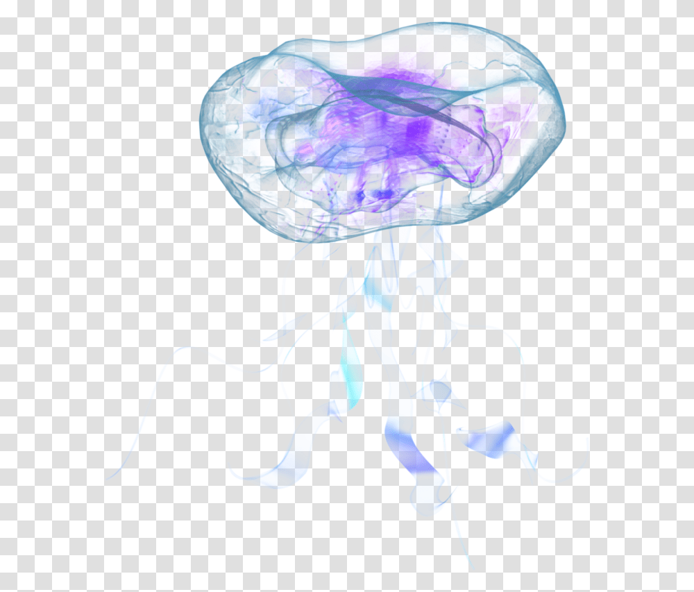 Jellyfish Real Jellyfish, Invertebrate, Sea Life, Animal, Lamp Transparent Png