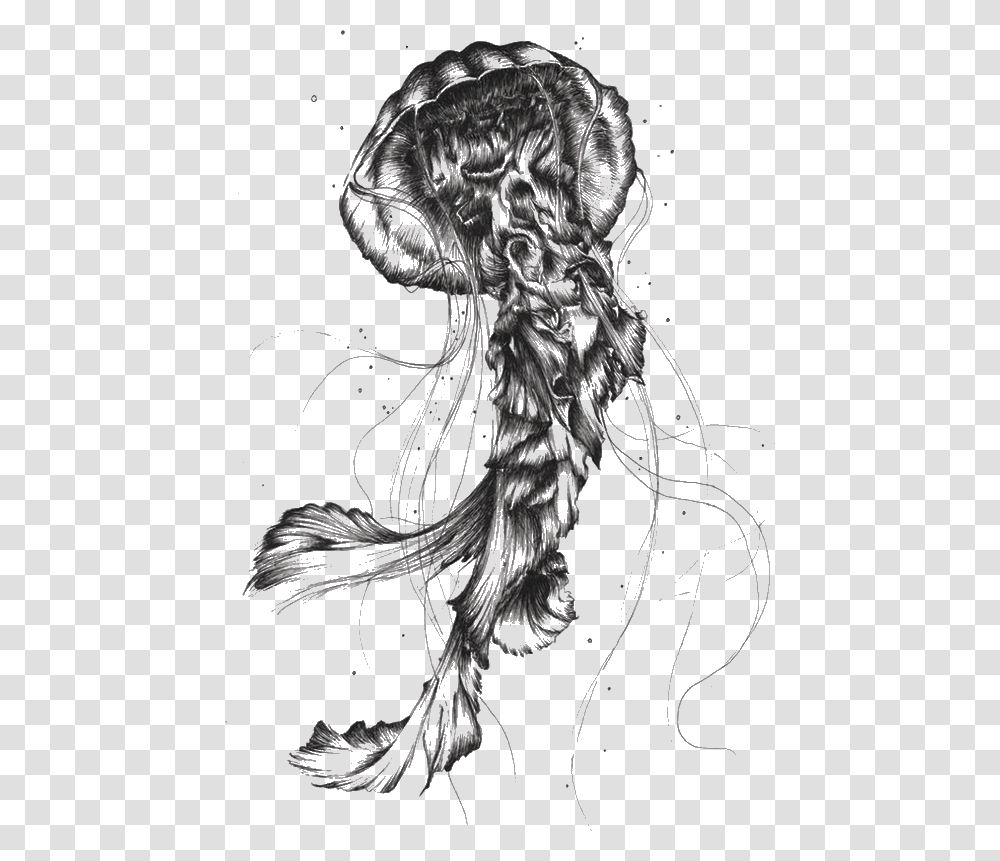 Jellyfish Sketch, Drawing, Hair, Dog Transparent Png