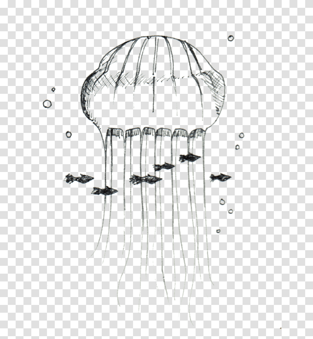 Jellyfish Sketch, Invertebrate, Sea Life, Animal, Shower Faucet Transparent Png