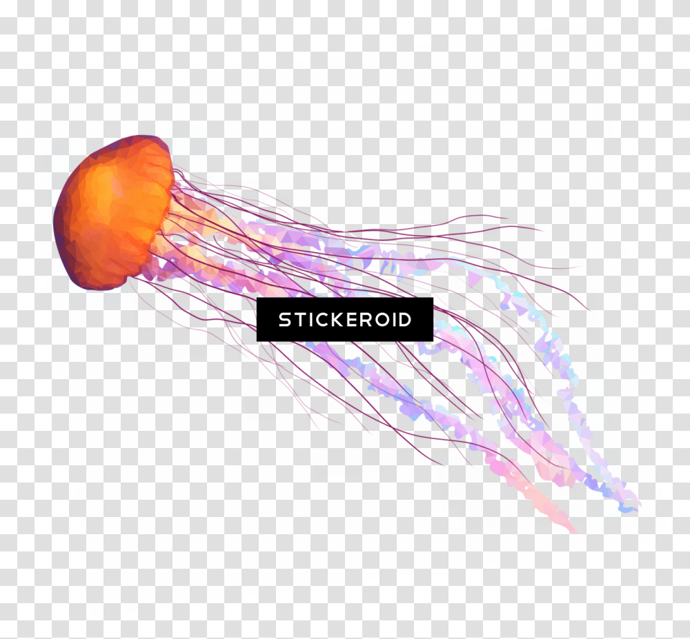 Jellyfish Tentacles Illustration, Paper, Sea Life, Animal Transparent Png
