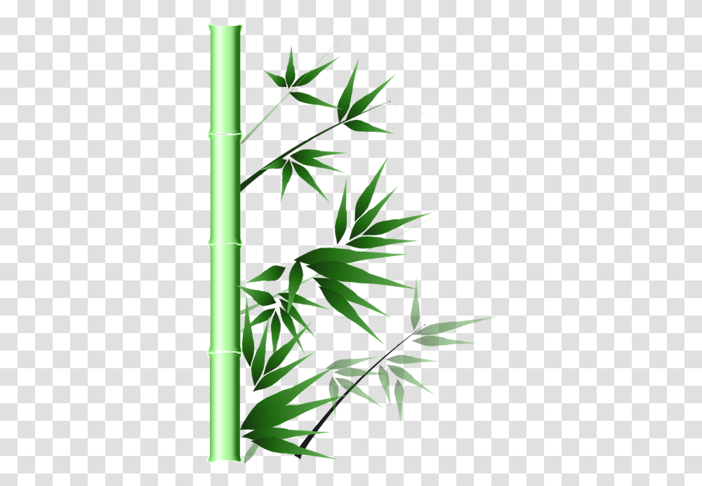 Jenis Jenis Bambu Hias Lengkap Dengan Wallpaper Gambar Bambus, Plant, Bamboo, Hemp Transparent Png
