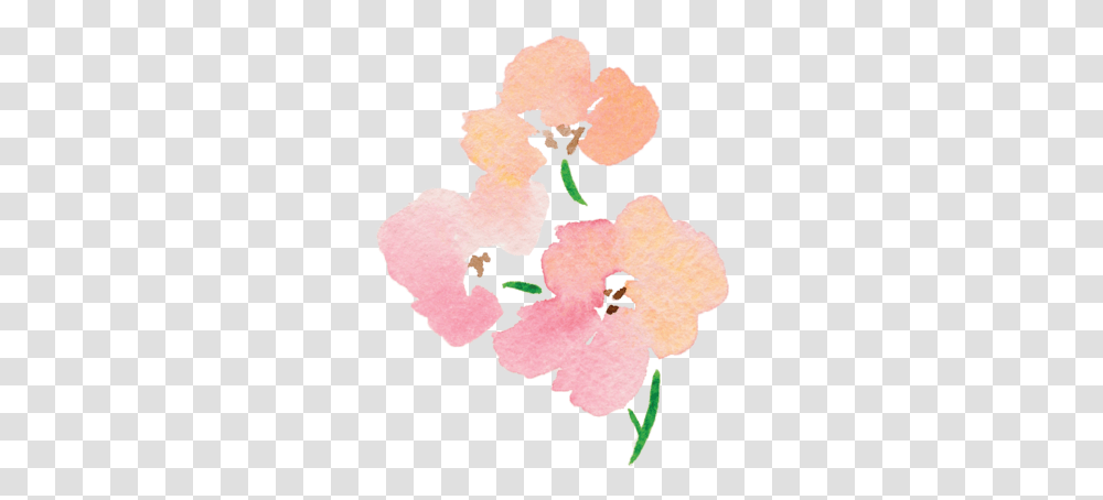 Jenna Rainey Floral, Plant, Flower, Blossom, Petal Transparent Png