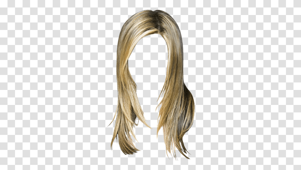 Jennifer Aniston Hair, Bird, Animal, Wig, Ponytail Transparent Png