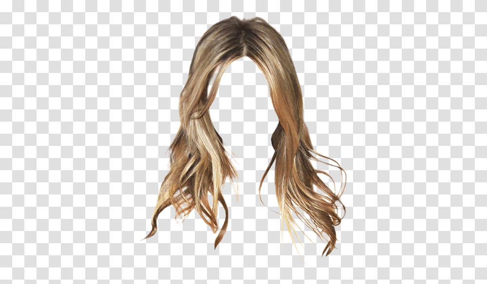 Jennifer Aniston Hair Color, Bird, Animal, Wig Transparent Png