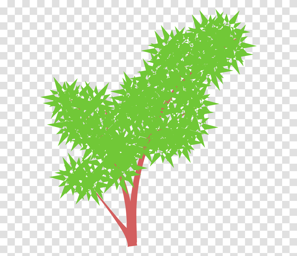 Jenny Arder Tree, Nature, Leaf, Plant, Pattern Transparent Png